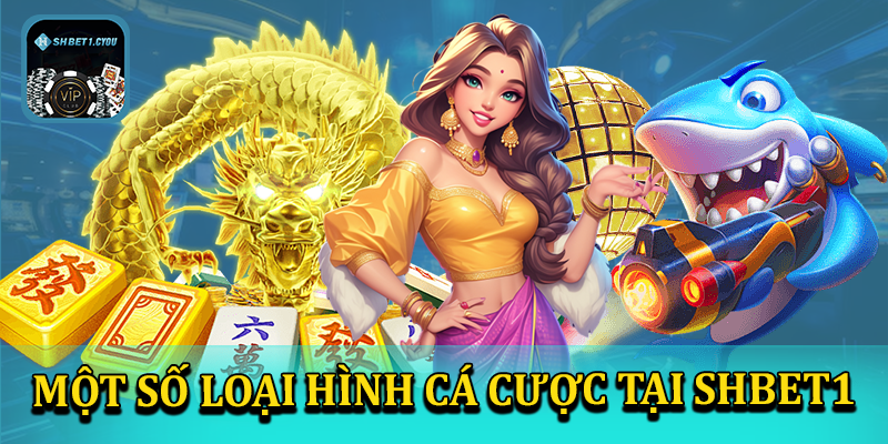 Điểm qua một số loại hình cá cược có tại shbet1